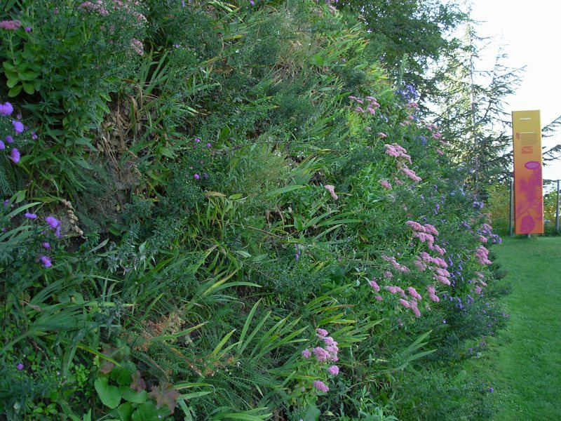 n_30 Trauttmansdorff.jpg